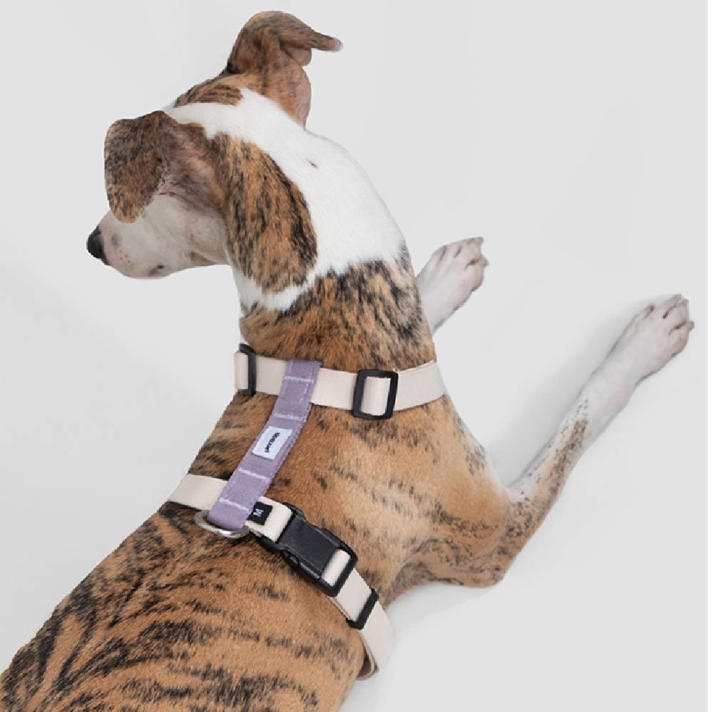 山谷工型防暴衝胸背牽繩組(兩色)